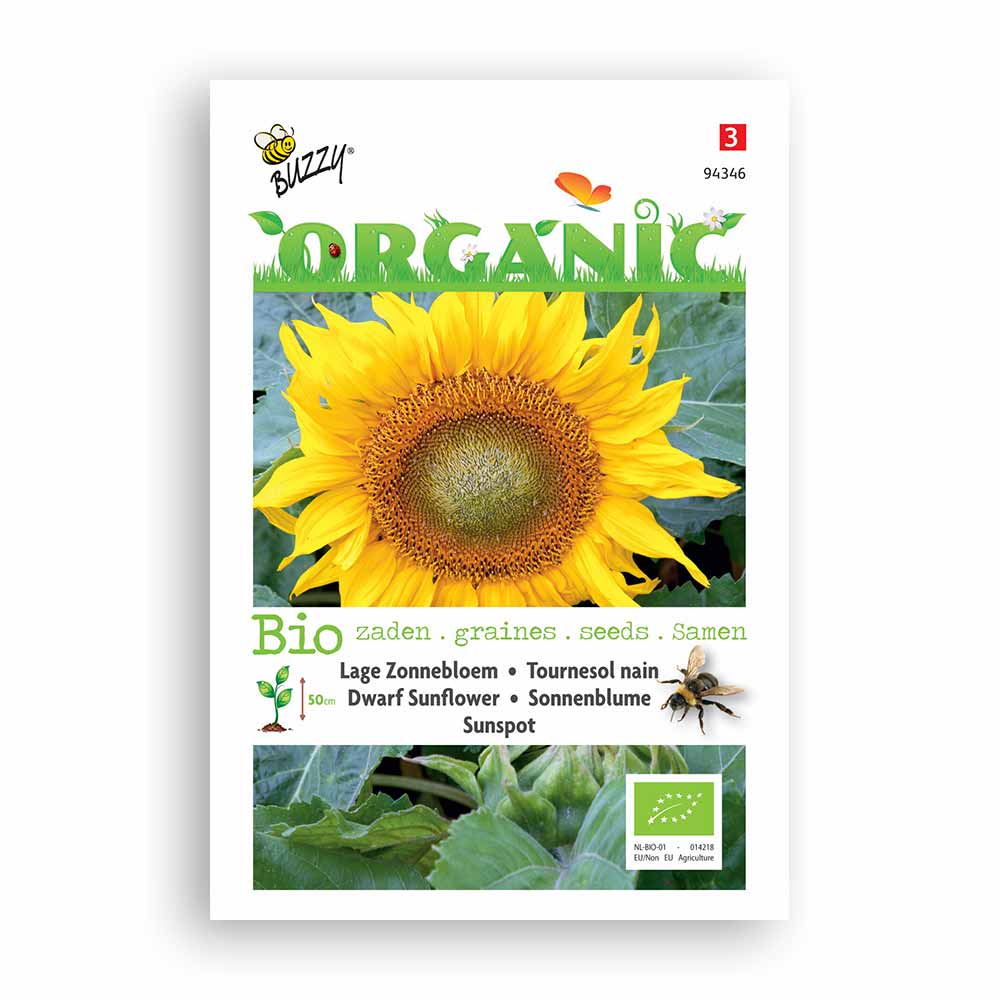 Buzzy® Organic Helianthus annuus Sunspot (BIO)