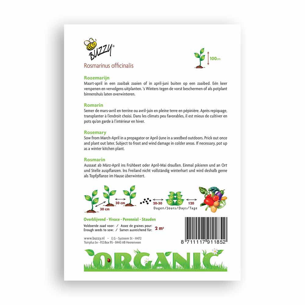 Buzzy Seeds® Organic Rosemary (BIO)