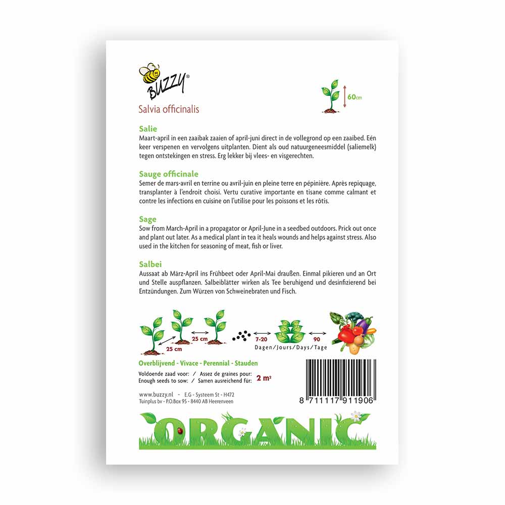 Buzzy Seeds® Organic Sage (BIO)