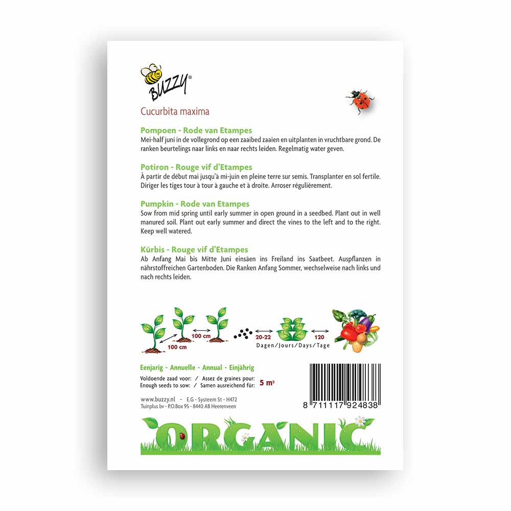 Buzzy® Organic Pompoen Etampes (BIO)