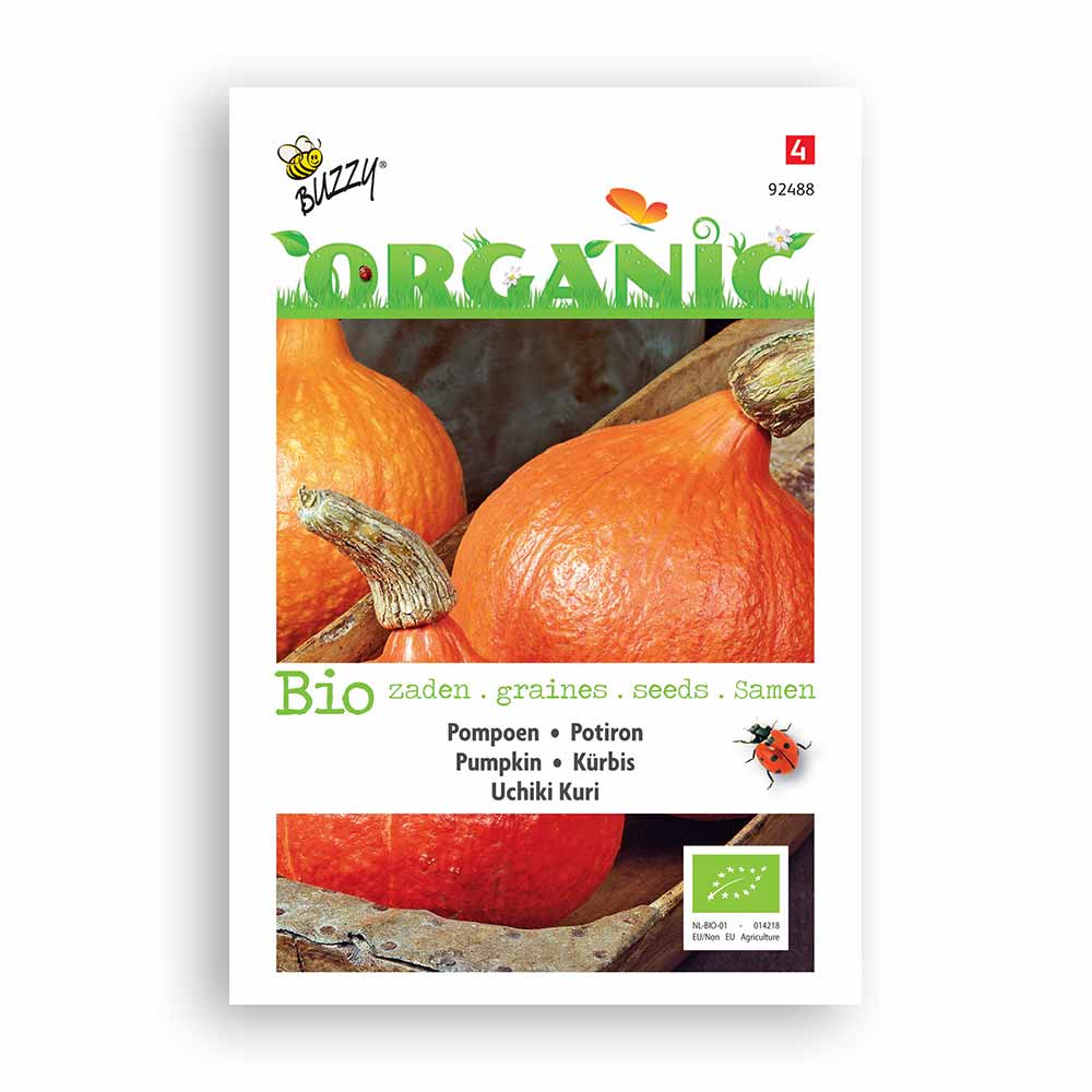 Buzzy Seeds® Organic Pumpkin - Uchiki Kuri (BIO)