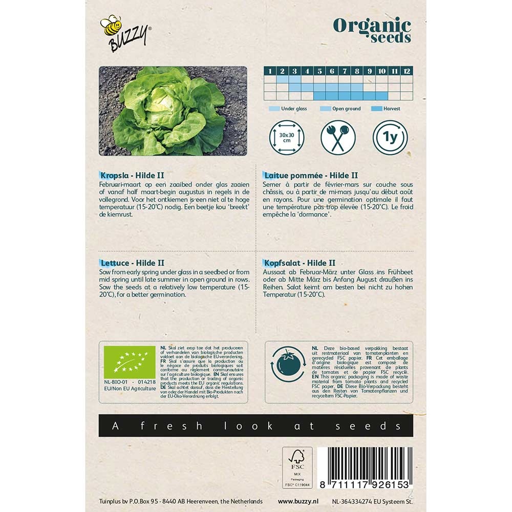 Buzzy® Organic Kopfsalat Hilde II (BIO)