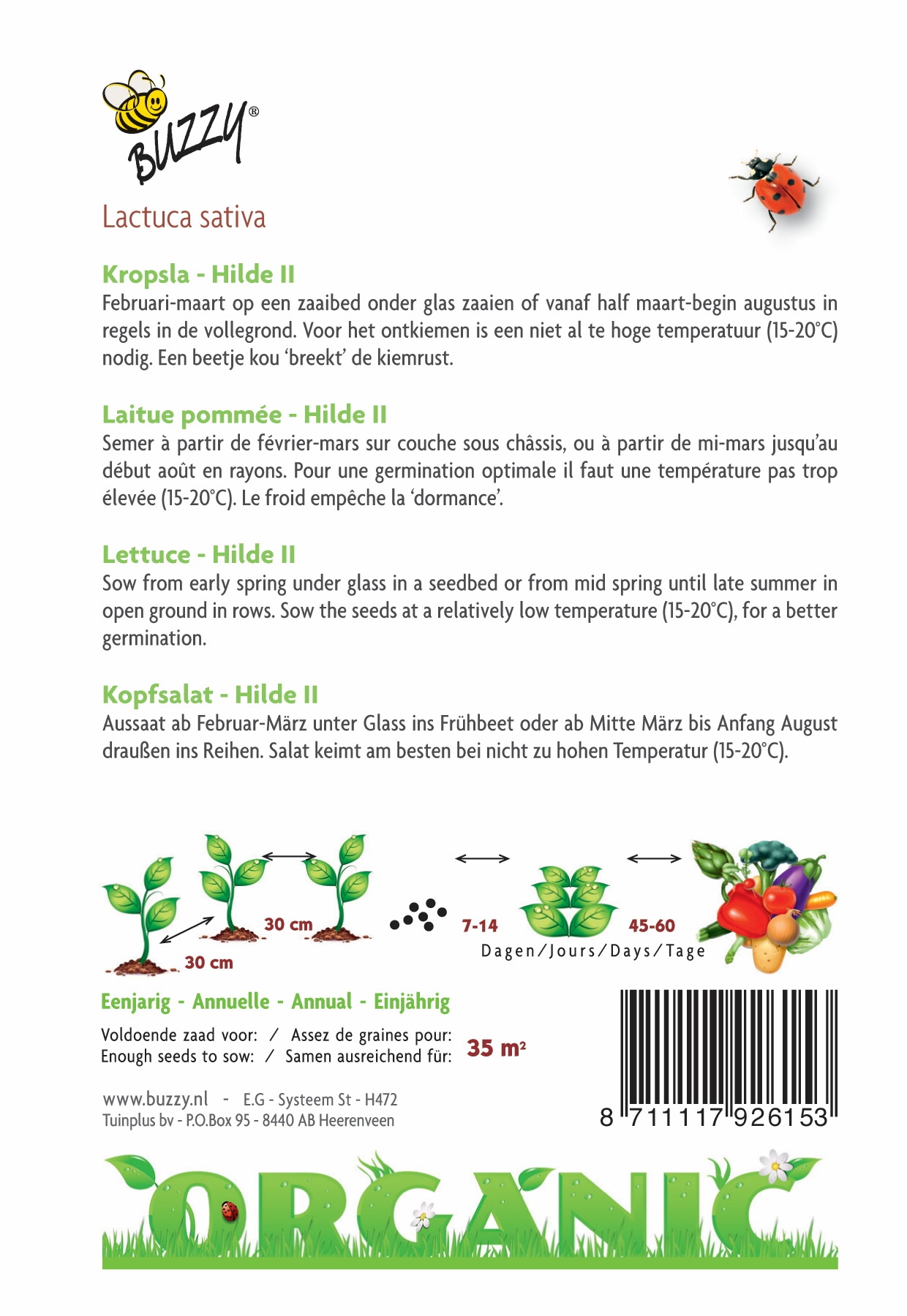 Buzzy Seeds® Organic Lettuce - Hilde II (BIO)