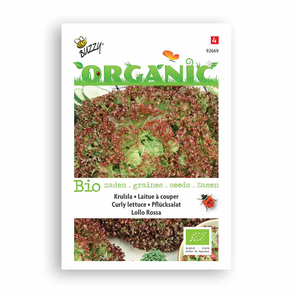 Buzzy® Organic Curly Lettuce - Lollo Rossa