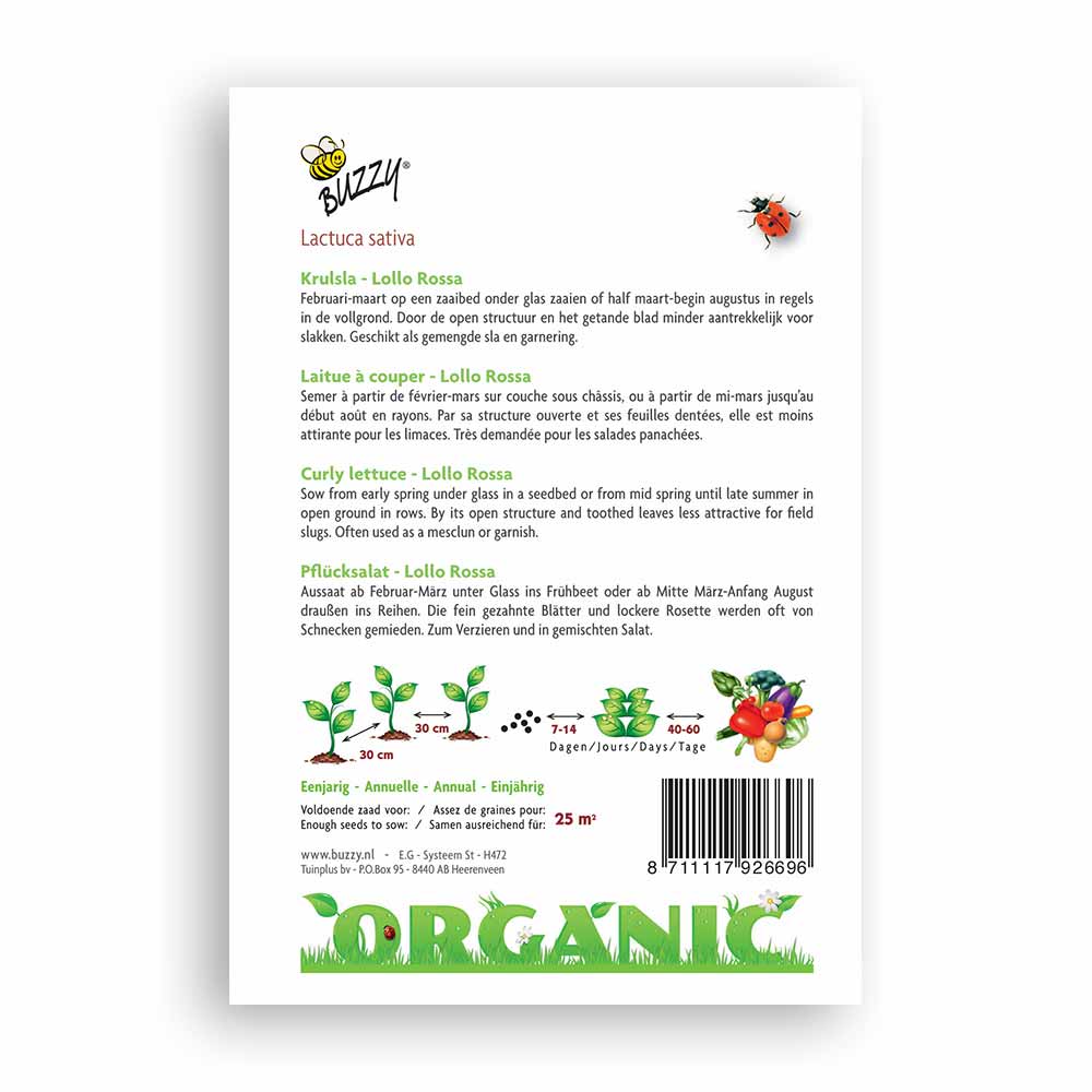 Buzzy® Organic Curly Lettuce - Lollo Rossa