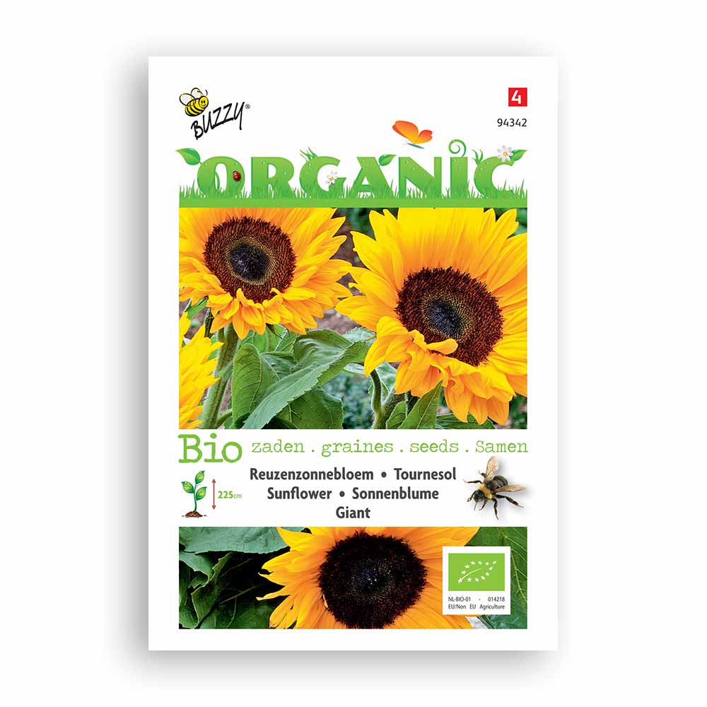 Buzzy Seeds® Organic Sunflower - Giant (BIO)