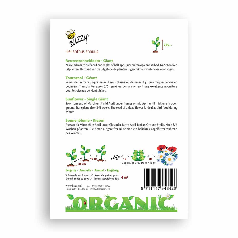 Buzzy Seeds® Organic Sunflower - Giant (BIO)