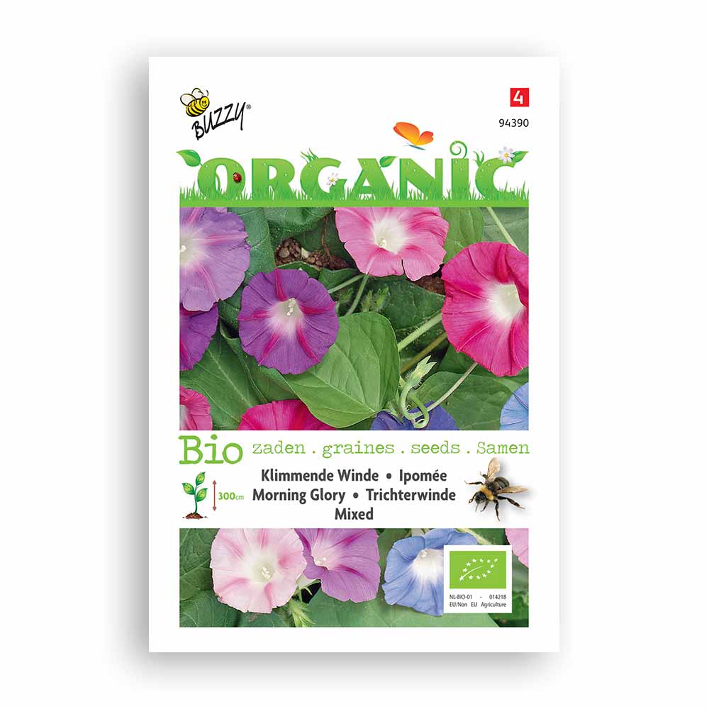 Buzzy Seeds® Organic Morning Glory Mixed