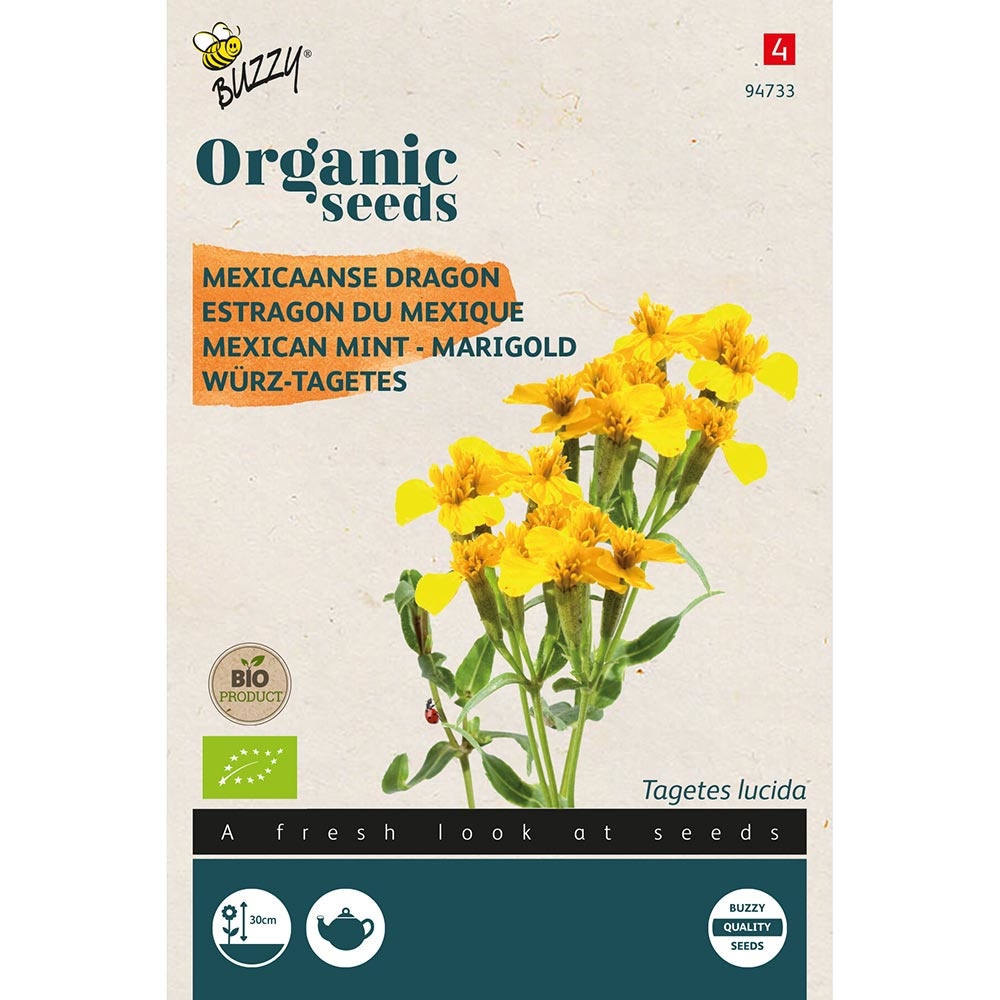 Buzzy® Organic Mexican Mint - Marigold (BIO)