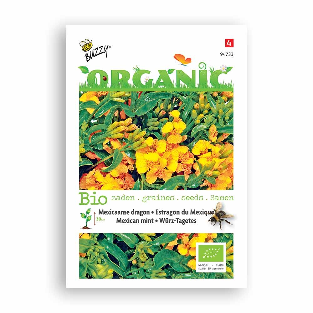 Buzzy® Organic Mexican Mint - Marigold (BIO)