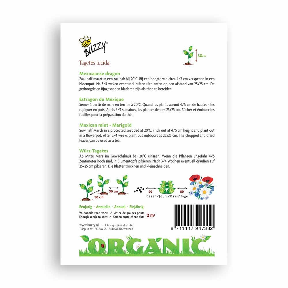 Buzzy® Organic Mexican Mint - Marigold (BIO)