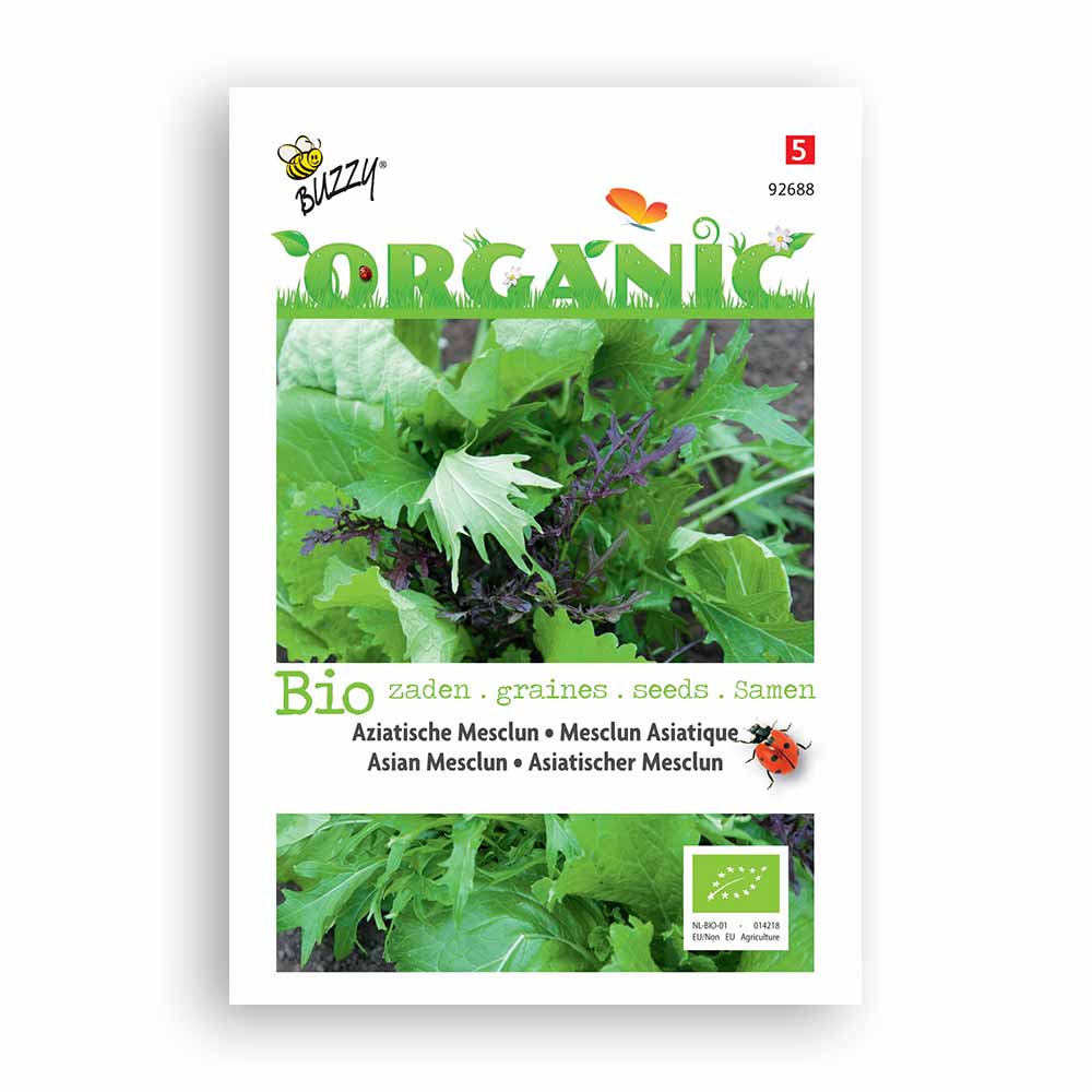 Buzzy® Organic Mesclun Aziatisch (BIO)