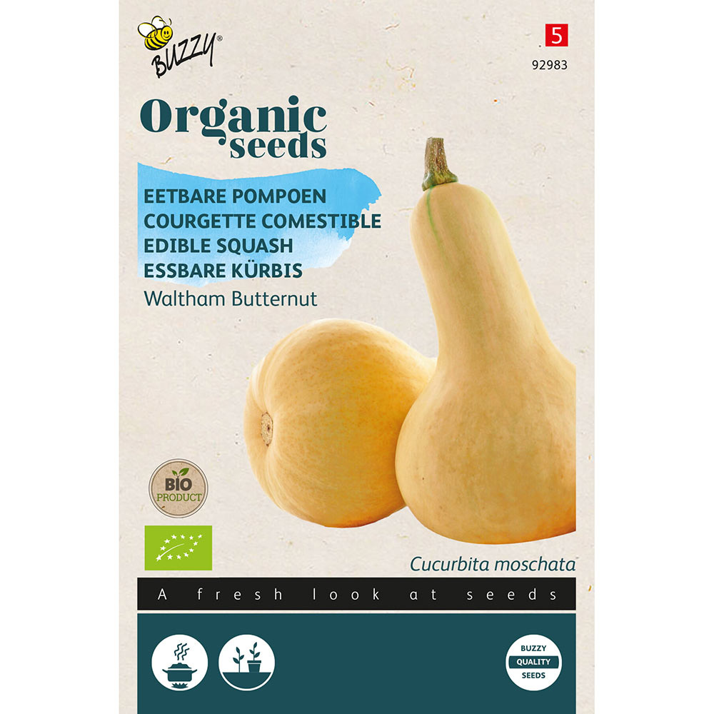 Buzzy® Organic Wintersquash Waltham Butternut (BIO)