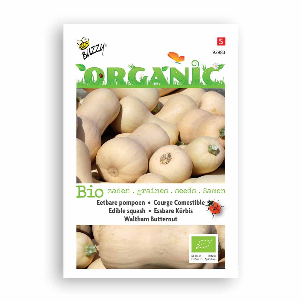 Buzzy® Organic Wintersquash Waltham Butternut (BIO)