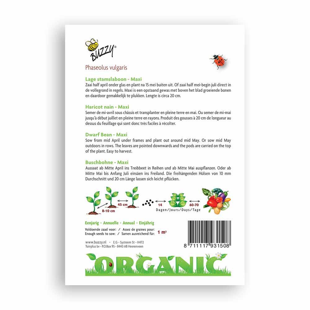 Buzzy® Organic Dwarf Beans - Maxi (BIO)