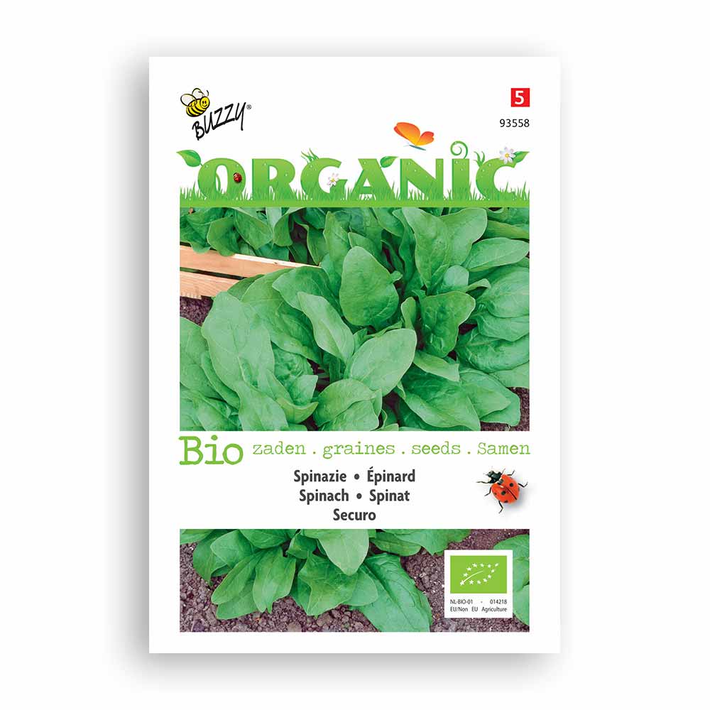 Buzzy Seeds® Organic Spinach - Securo (BIO)