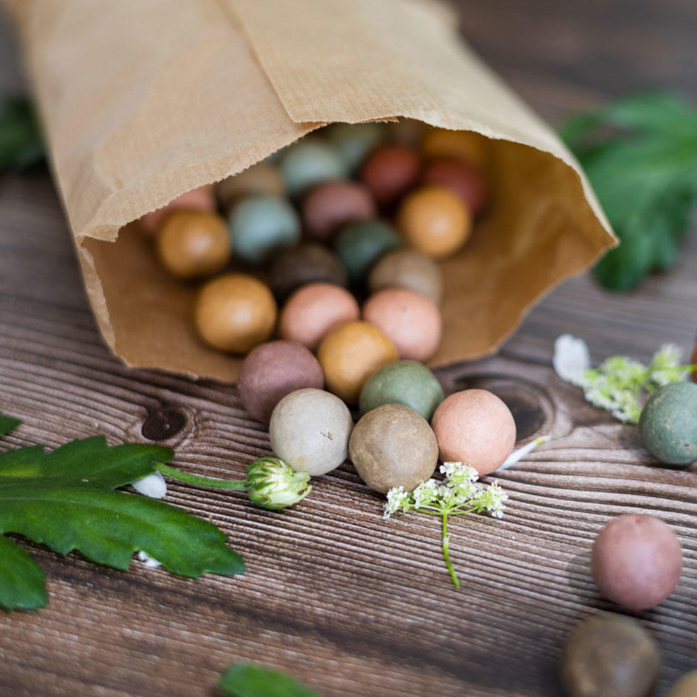 Geschenktas met 25 zadenbommetjes