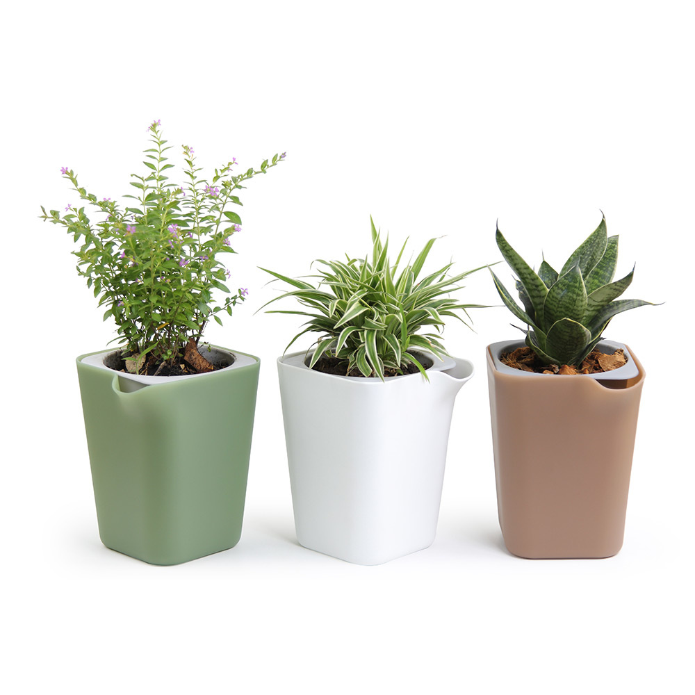 Self Watering Plant Pot