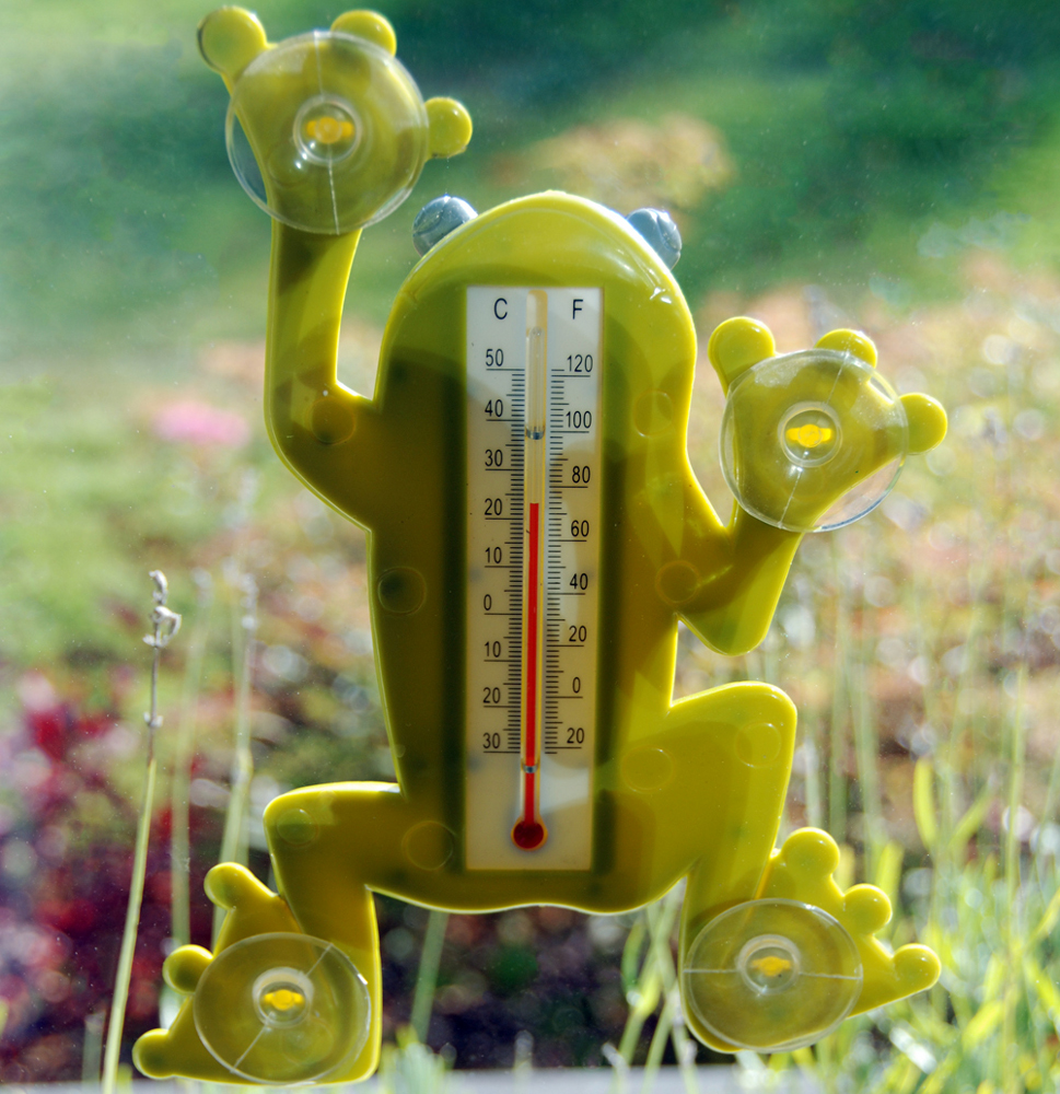 Window Thermometer Frog