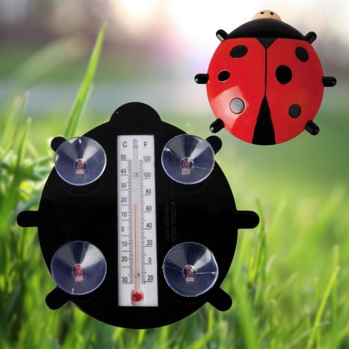 Ladybird Thermometer