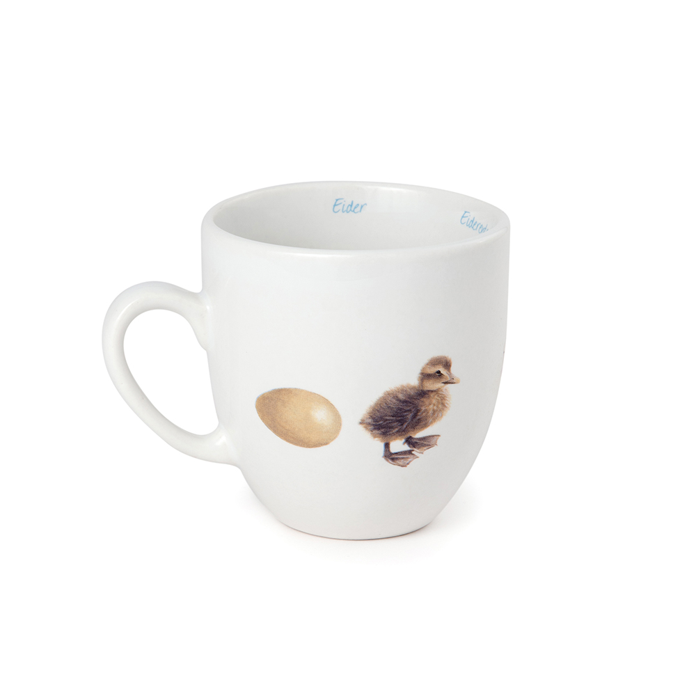 Common Eider Mug by Elwin van der Kolk