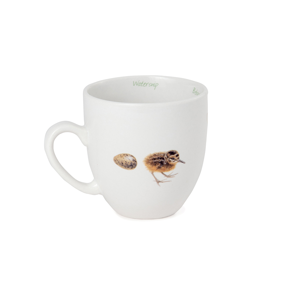 Common Snipe Mug by Elwin van der Kolk