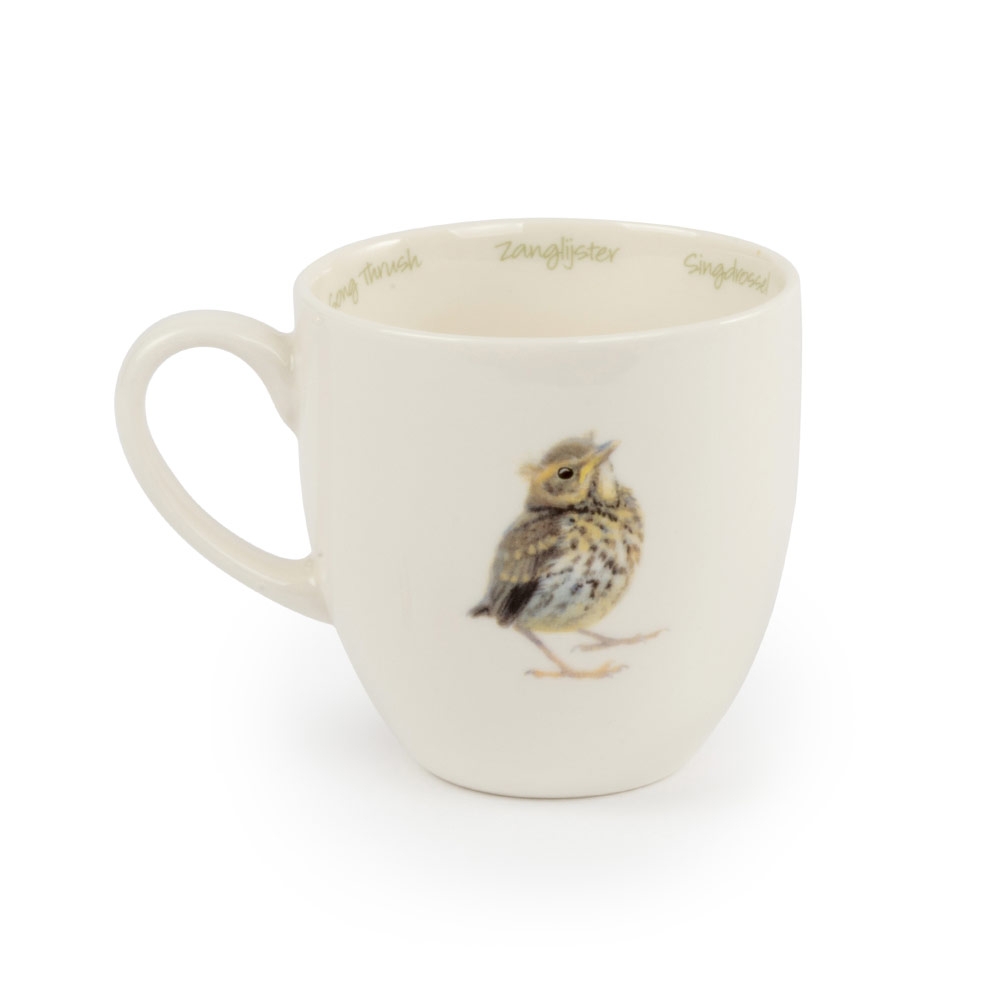 Song Thrush Mug by Elwin van der Kolk