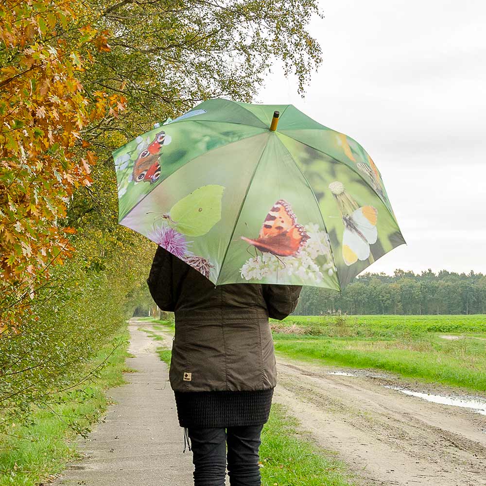 Butterfly Umbrella