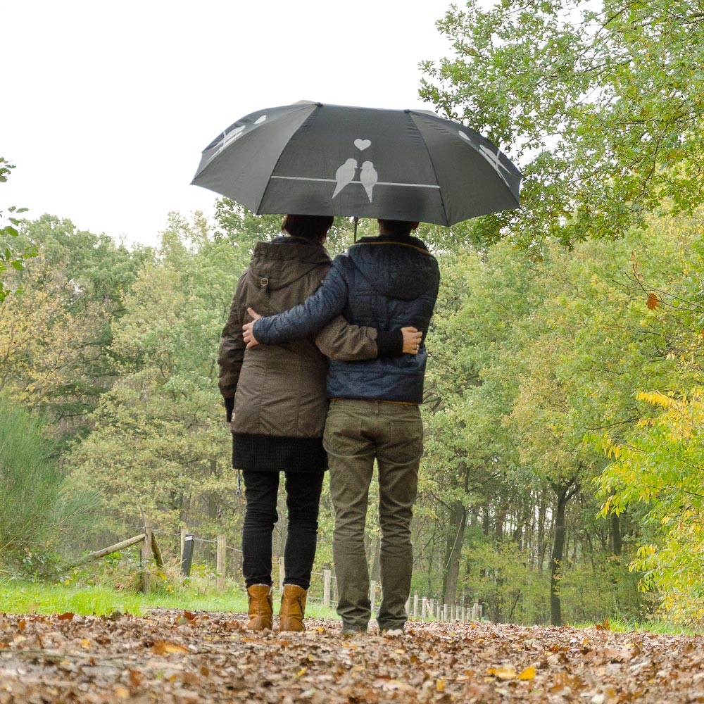 Duo Umbrella with Bird Silhouette 