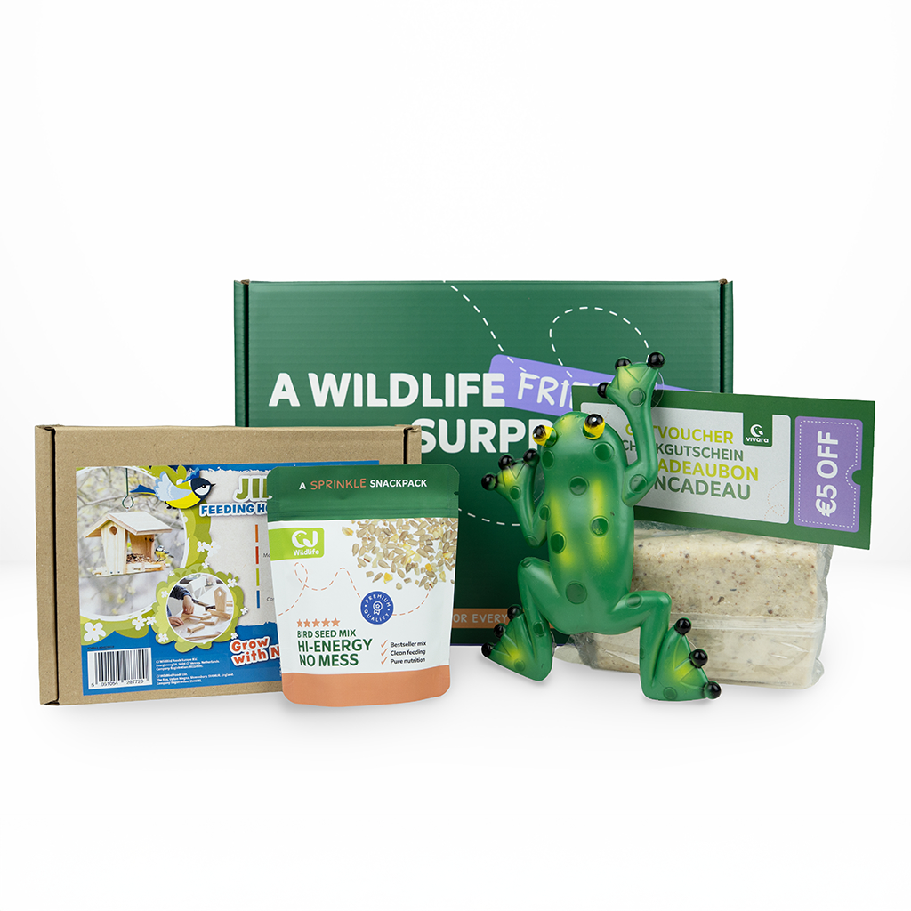 Kleine Entdecker- und Lernbox