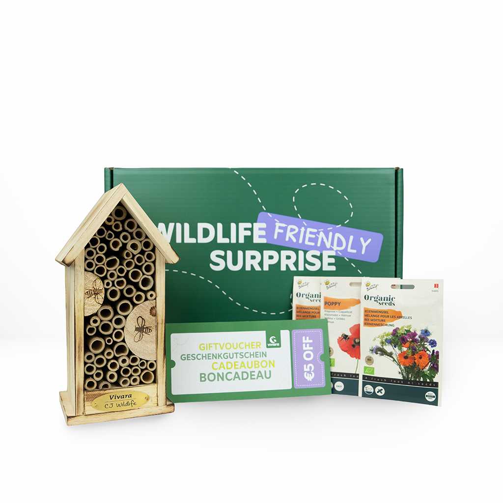 Boîte Abeilles & Insectes