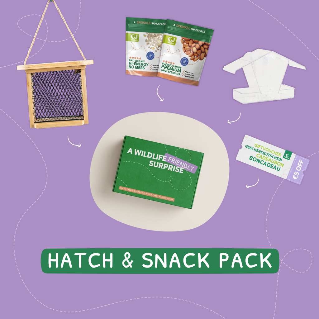 Coffret cadeau - Hatch & Snack Pack