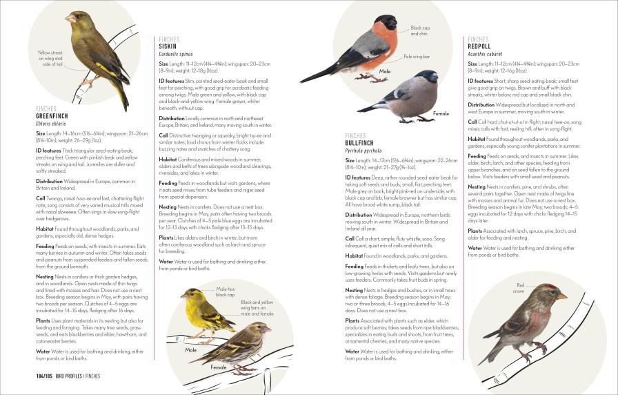 How to Attract Birds to Your Garden Book