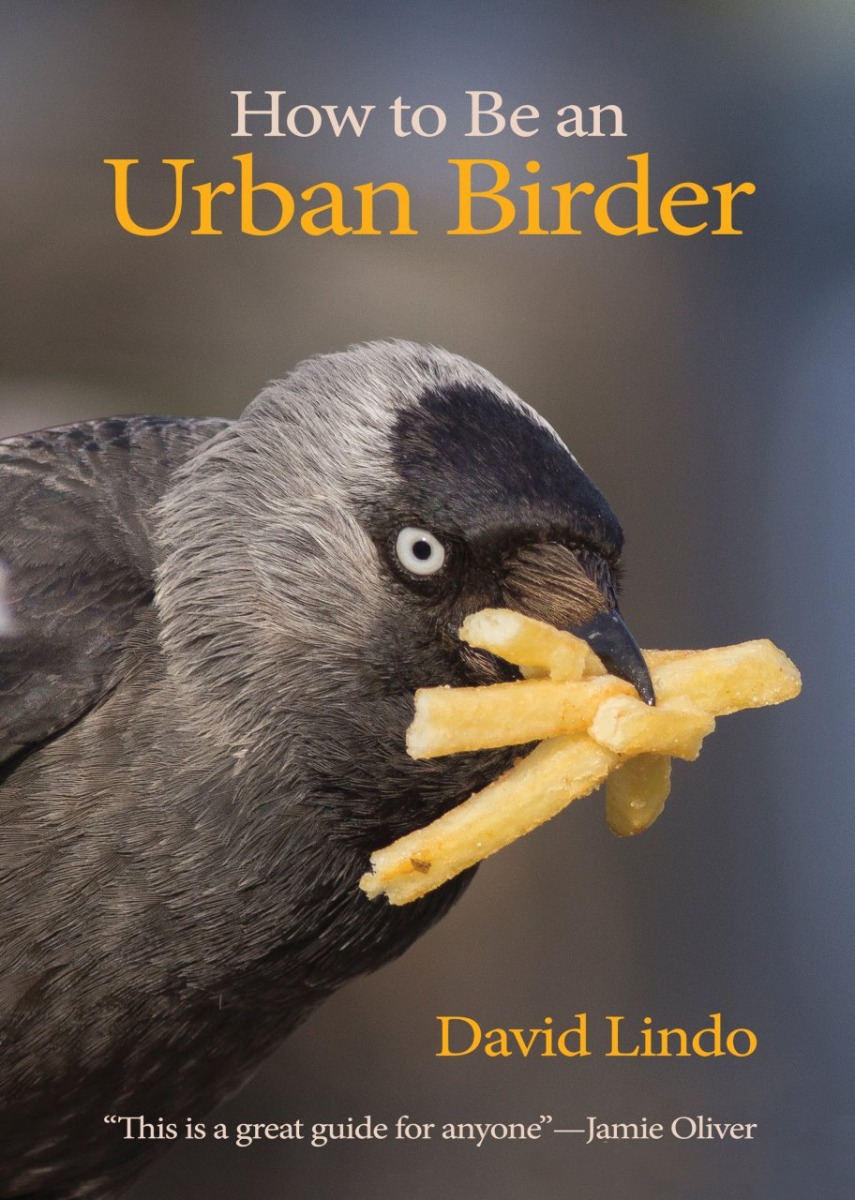 How To Be An Urban Birder Book