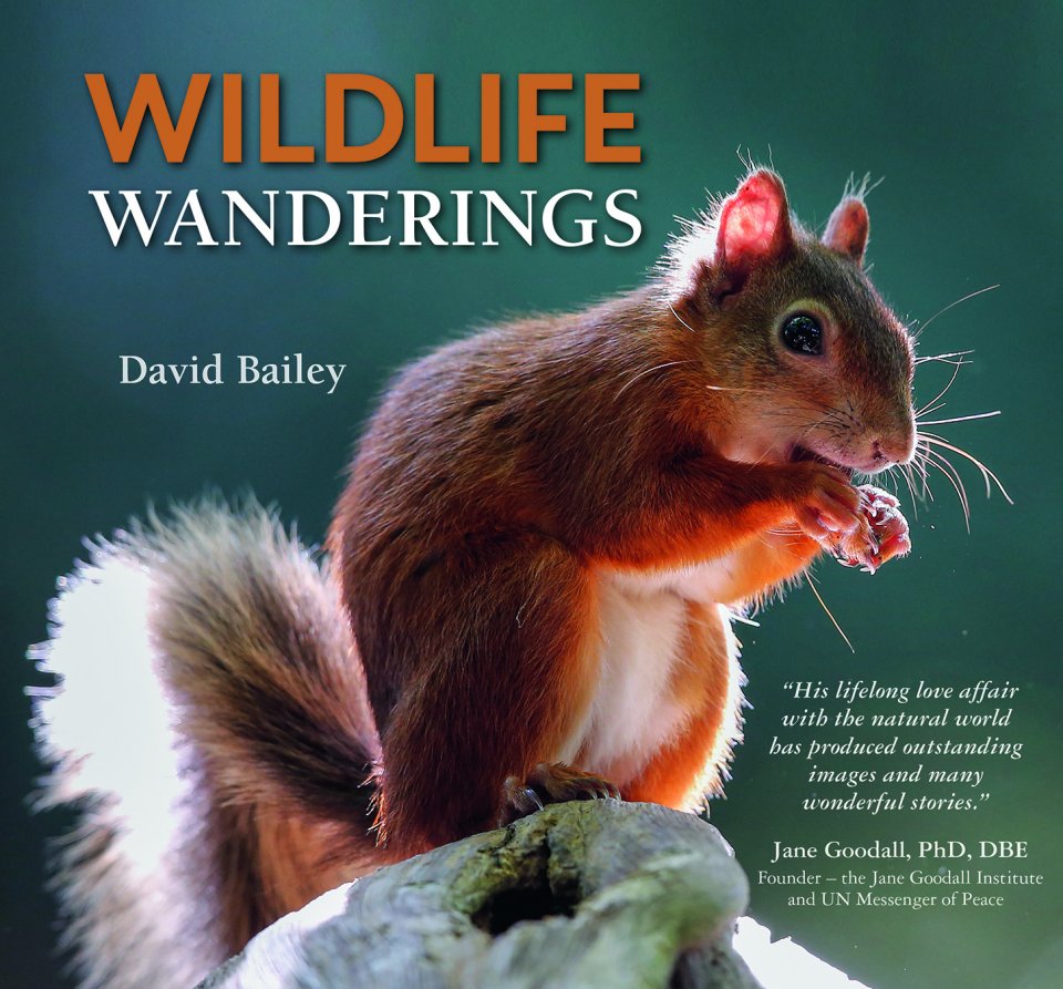 Wildlife Wanderings Book