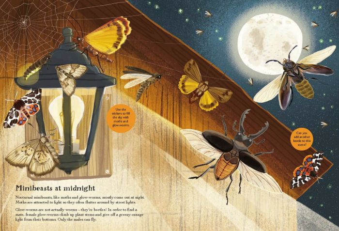 National Trust Beetles, Butterflies and Minibeasts Book