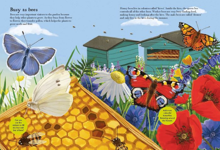 National Trust Beetles, Butterflies and Minibeasts Book