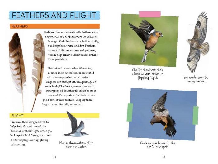 National Trust Out and about Bird Spotter Book