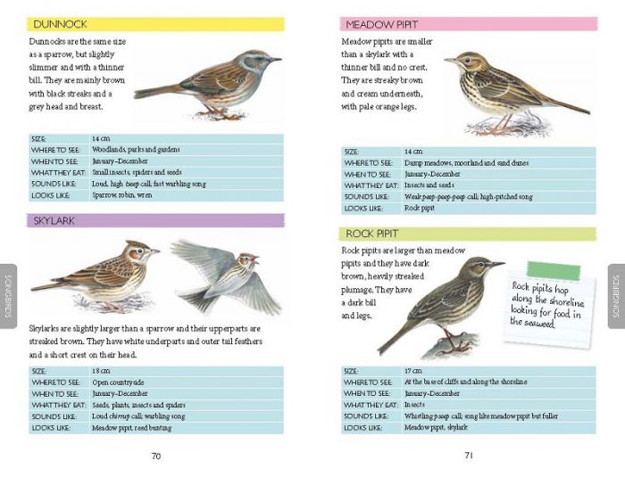 National Trust Out and about Bird Spotter Book