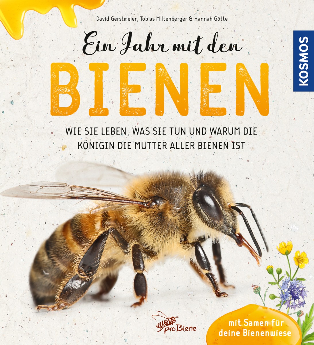 Ein Jahr mit den Bienen - Sachbuch für Kinder ab 6 Jahren