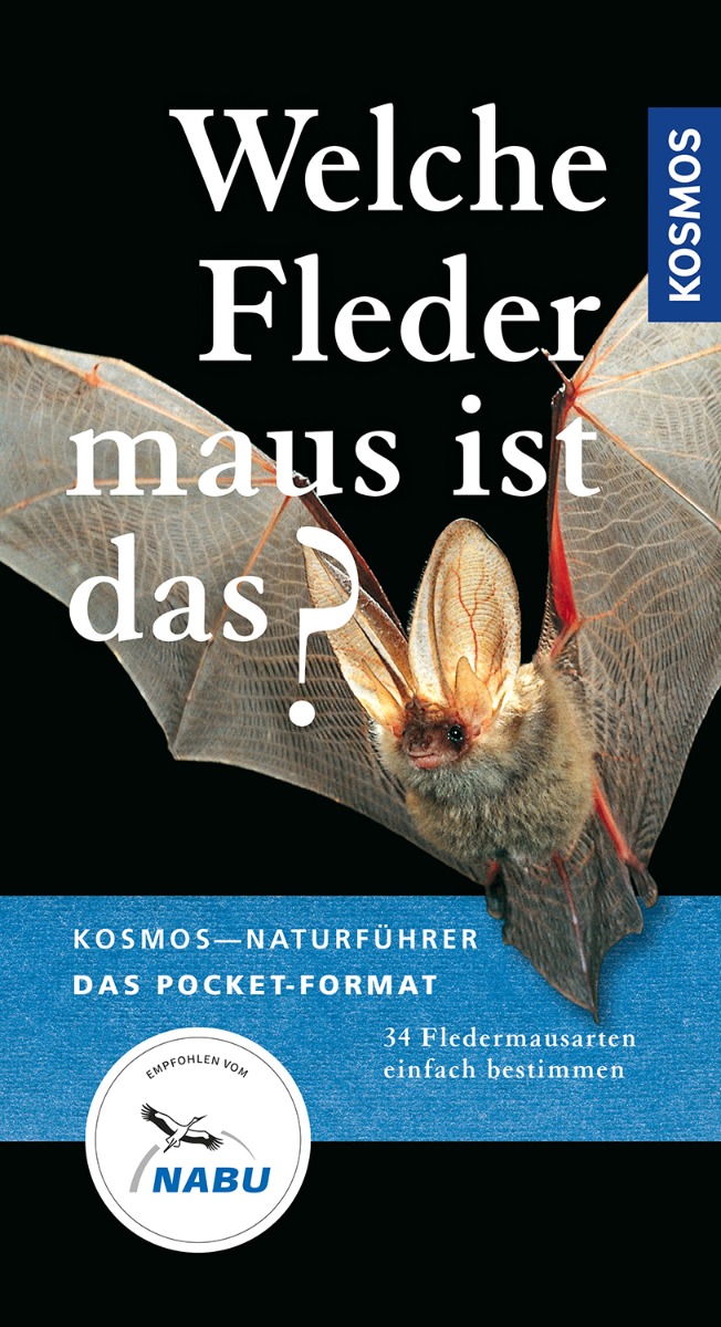 Welche Fledermaus ist das? (Kosmos-Naturführer Basics) 