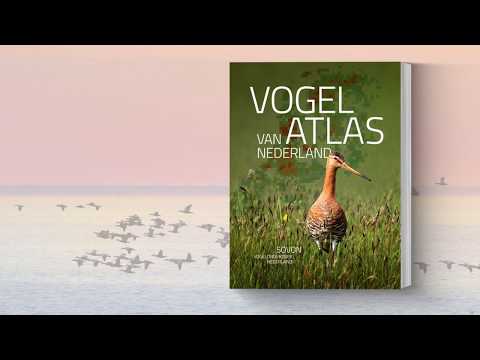 Vogelatlas van Nederland