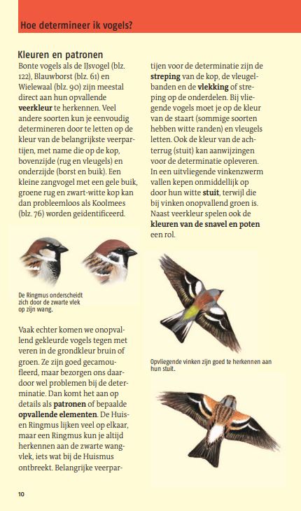 Welke vogel is dat? ANWB Vogelgids