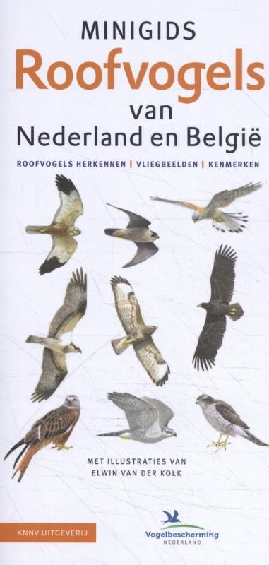 Minigids - Minigids Roofvogels van Nederland en België