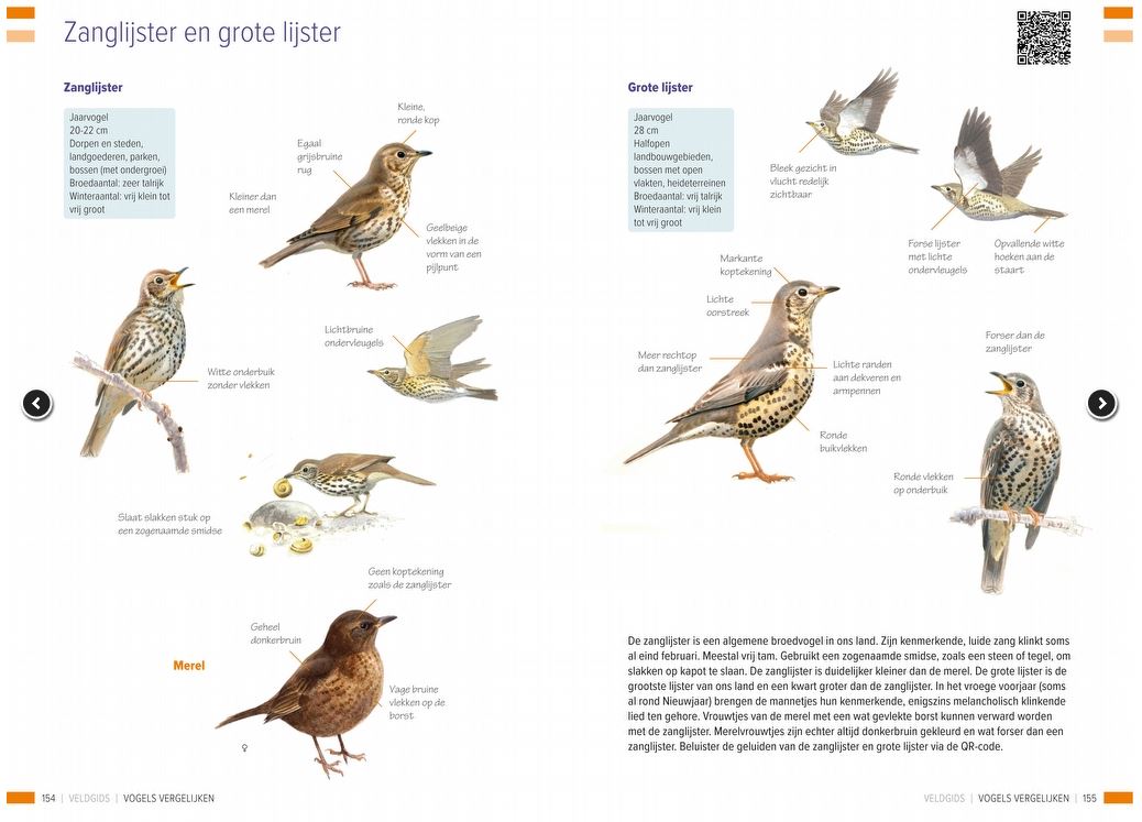 Veldgids vogels vergelijken