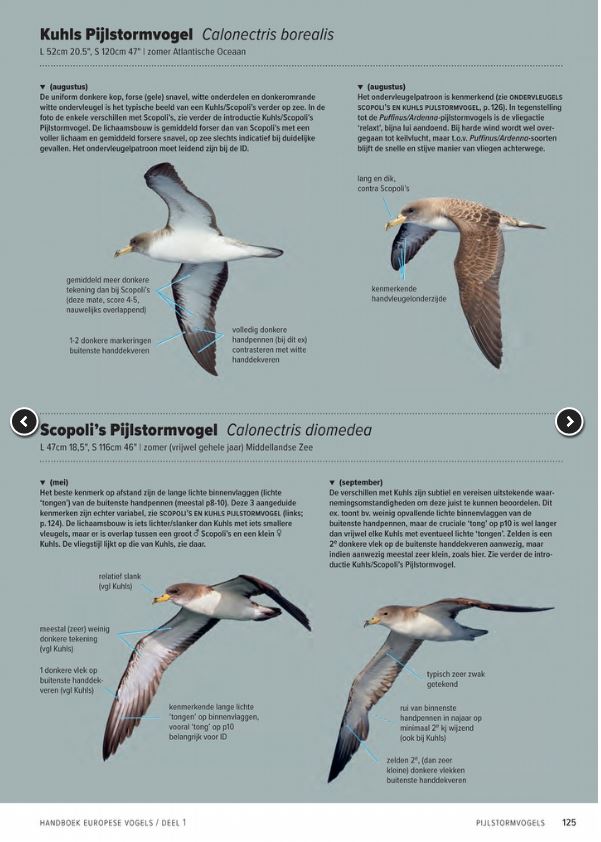 Handboek Europese vogels