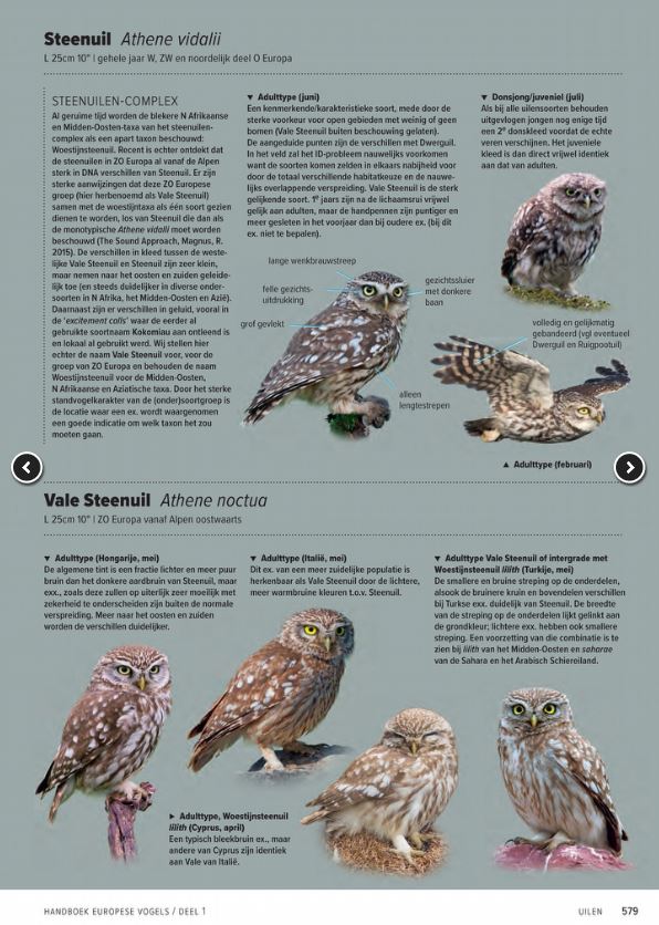 Handboek Europese vogels