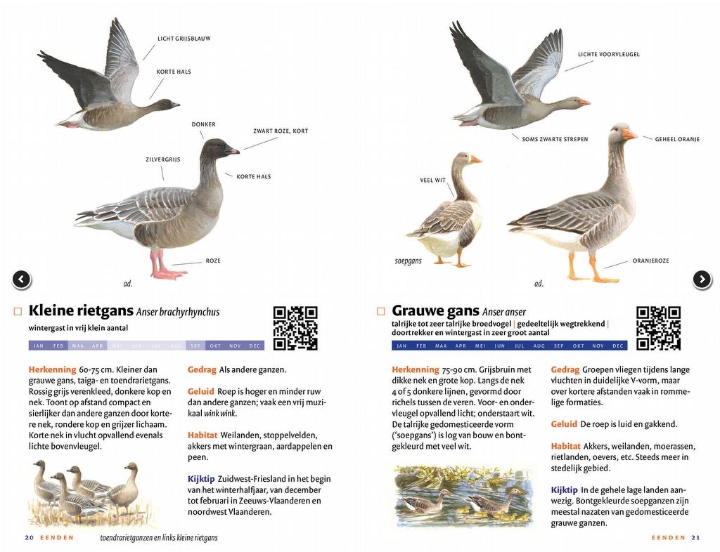 Zakgids Vogels van Nederland en België