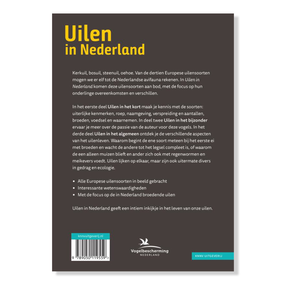 Uilen in Nederland