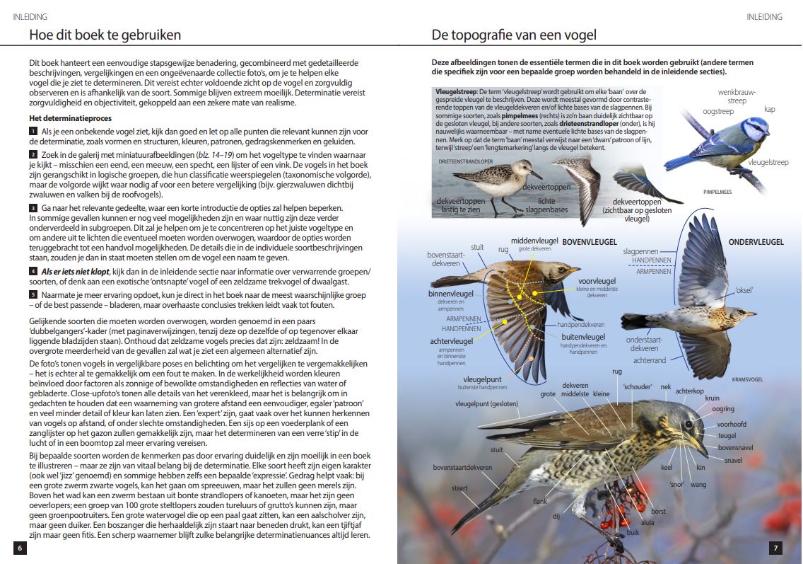 Vogels van Europa